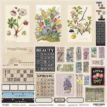 Бумага 30х30 см "Пробуждение природы. Карточки. Весенние записки" (PaperHome)