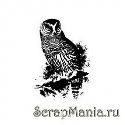 Штамп "Сова" (Скрапклуб)