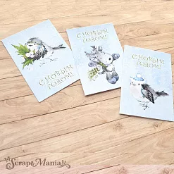 Набор карточек "Волшебный снегопад" (ScrapMania) Набор карточек "Волшебный снегопад" (ScrapMania)