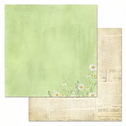 Набор бумаги 30,5х30,5 см "Спасибо, доктор!", 12 листов (ScrapMania) Набор бумаги 30,5х30,5 см "Спасибо, доктор!", 12 листов (ScrapMania)