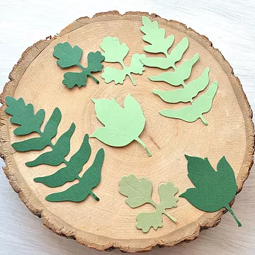 Набор вырубок "Гербарий лесной. Большой", 7 шт, цвет мятный и зеленый