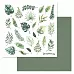 Набор бумаги 20х20 см для вырезания и вдохновения "Ботаника", 6 листов (ScrapMania)