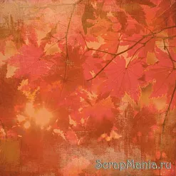 Бумага Basic Grey 30,5х30,5 см, Aspen, серия: Indian Summer