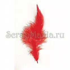 Набор средних перьев "Модный красный" (Rayher)