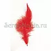 Набор средних перьев "Модный красный" (Rayher)