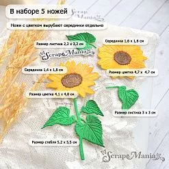 Нож "Подсолнух - король лета", 5,2х5,5 см (ScrapMania)