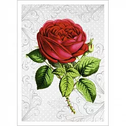 Тканевая карточка "Оранжерея. Королева" (ScrapMania) Тканевая карточка "Оранжерея. Королева" (ScrapMania)