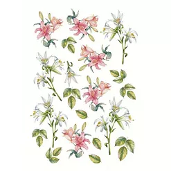 Бумага А4 "Парад шпаргалки. Лист для вырезания. Лилия" (Эклектика) Бумага А4 "Парад шпаргалки. Лист для вырезания. Лилия" (Эклектика)