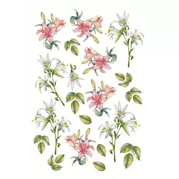 Бумага А4 "Парад шпаргалки. Лист для вырезания. Лилия" (Эклектика)