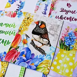 Набор карточек "Время тюльпанов", 16 шт (ScrapMania)
