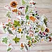 Набор высечек из бумаги "Ворожея. Травница" (ScrapMania)