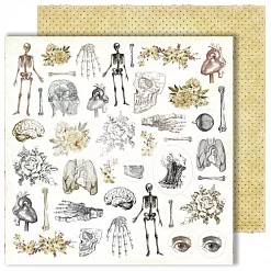 Бумага "Homo sapiens. Цветы" (DreamLight Studio)