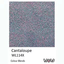 Пудра для эмбоссинга непрозрачная "Cantaloupe. Мускусная дыня" (WOW)