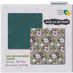 Набор бумаги 30х30 см "Мне ко второй", 12 листов (DreamLight Studio)