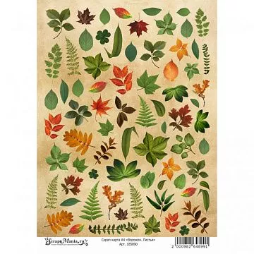 Скрап-карта А4 "Ворожея. Листья" (ScrapMania)