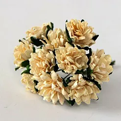 Букет астр "Светло-желтый", 10 шт (Craft)