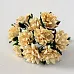 Букет астр "Светло-желтый", 10 шт (Craft)