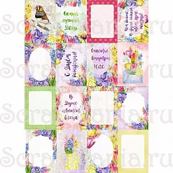 Набор карточек "Время тюльпанов", 16 шт (ScrapMania)