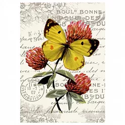 Тканевая карточка "Цветочный фейерверк. Клевер" (ScrapMania) Тканевая карточка "Цветочный фейерверк. Клевер" (ScrapMania)