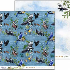 Набор бумаги 30х30 см "Домик лесника. Основной", 6 листов (Muscari)