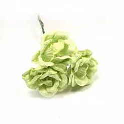 Букет магнолий "Фисташковые" (Fleur-design)