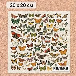 Калька 20х20 см "Заповедник 13", плотность 110 гр/м2 (ScrapMania)