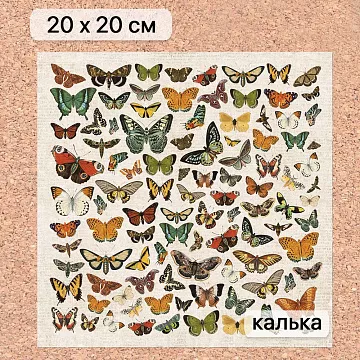 Калька 20х20 см "Заповедник 13", плотность 110 гр/м2 (ScrapMania)