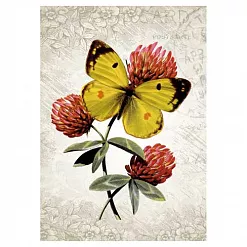 Тканевая карточка мини "Летние краски. Крушинница" (ScrapMania) Тканевая карточка мини "Летние краски. Крушинница" (ScrapMania)