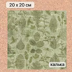 Калька 20х20 см "Заповедник 21", плотность 110 гр/м2 (ScrapMania) Калька 20х20 см "Заповедник 21", плотность 110 гр/м2 (ScrapMania)