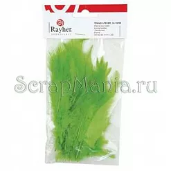 Набор средних перьев "Модный зеленый" (Rayher) Набор средних перьев "Модный зеленый" (Rayher)