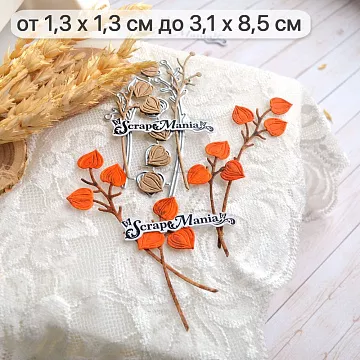 Нож "Длинные растения. Ветки физалиса", 3,1х8, см (ScrapMania)