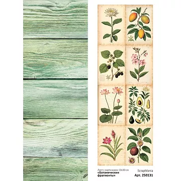 Лист с картинками 10х30 см "Ботанические фрагменты" (ScrapMania)
