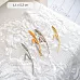 Нож "Дыхание лета. Колосок", 1,1х5,3 см (ScrapMania)