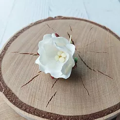 Цветок яблони "Белый", 2,5 см, 1 шт (Craft) Цветок яблони "Белый", 2,5 см, 1 шт (Craft)