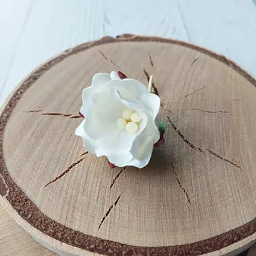 Цветок яблони "Белый", 2,5 см, 1 шт (Craft)