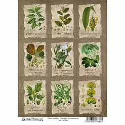 Скрап-карта А4 "Ворожея. Ингредиенты" (ScrapMania) Скрап-карта А4 "Ворожея. Ингредиенты" (ScrapMania)