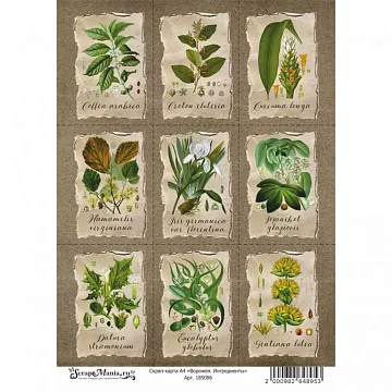 Скрап-карта А4 "Ворожея. Ингредиенты" (ScrapMania)