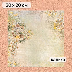 Калька 20х20 см "Сезон ромашек 11", плотность 110 гр/м2 (ScrapMania)