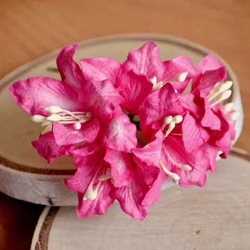 Букет лилий "Фуксия", 5 шт (Craft)