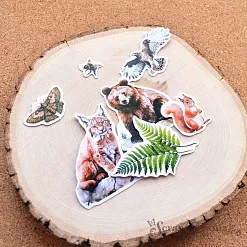 Набор высечек из бумаги "Заповедник 2", 40 шт (ScrapMania)