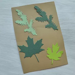 Набор вырубок "Гербарий. Ель и клен" Набор вырубок "Гербарий. Ель и клен"