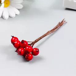 Букет ягод "Ягодки красные"