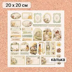 Калька 20х20 см "Сезон ромашек 25", плотность 110 гр/м2 (ScrapMania)