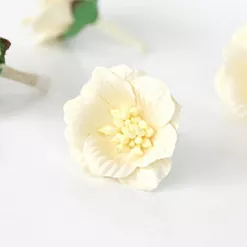 Цветок сенполии "Молочный", 1 шт (Craft)