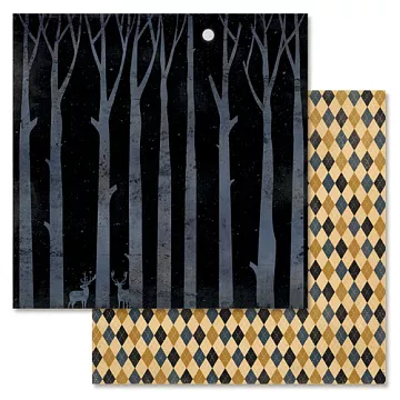 Бумага "Дневник туриста. Лунная ночь" (ScrapMania)