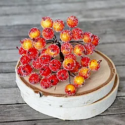 Букет ягод "Рябинка в сахаре оранжево-красная"