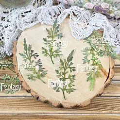 Нож "Волшебный плющ 1712", 4х8,5 см (Fantasy)