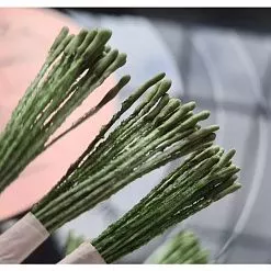 Тычинки "Удлиненные. Темно-зеленые на темно-зеленой нити", 25 шт (AgiArt) Тычинки "Удлиненные. Темно-зеленые на темно-зеленой нити", 25 шт (AgiArt)