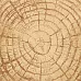 Бумага "Дневник туриста. Рыбацкие истории" (ScrapMania)