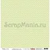 Бумага "Шеврон зеленый" (ScrapBerry's)